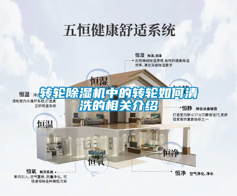 转轮草莓视频APP在线观看中的转轮如何清洗的相关介绍