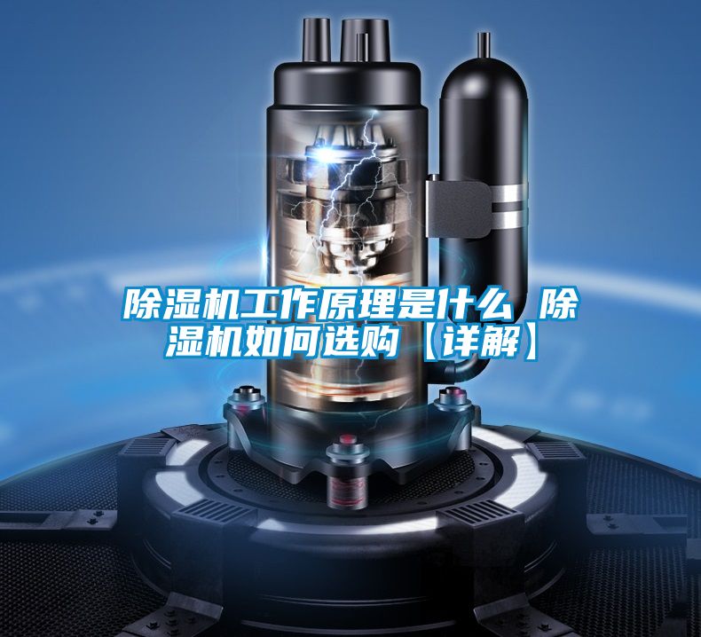 草莓视频APP在线观看工作原理是什么 草莓视频APP在线观看如何选购【详解】