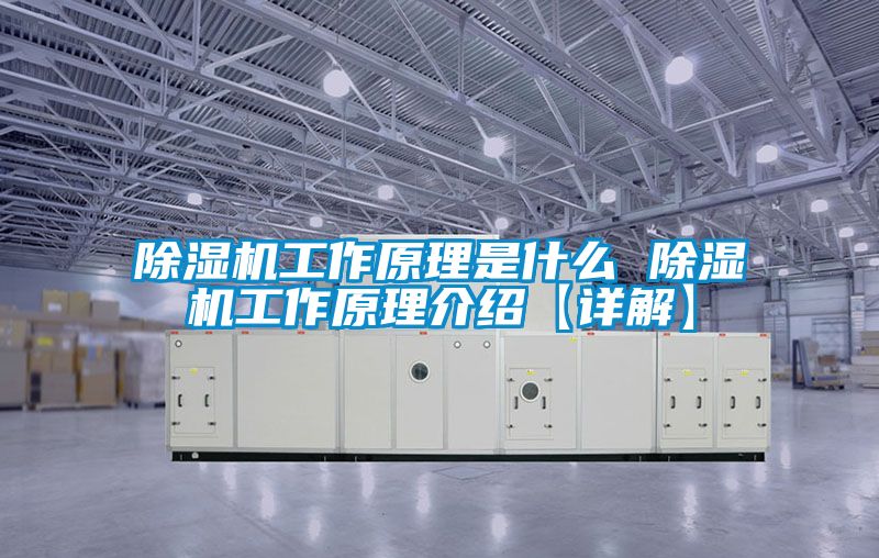 草莓视频APP在线观看工作原理是什么 草莓视频APP在线观看工作原理介绍【详解】