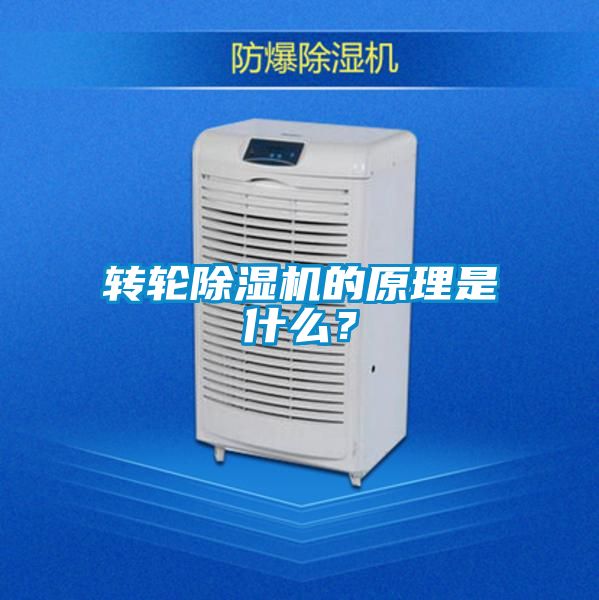 转轮草莓视频APP在线观看的原理是什么？