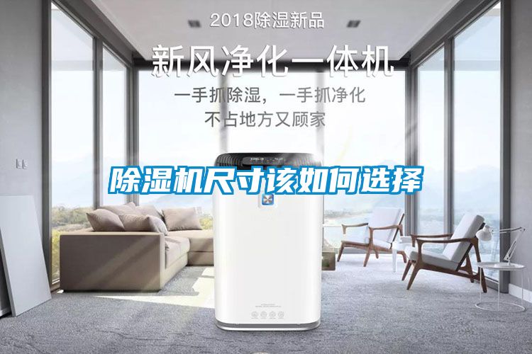 草莓视频APP在线观看尺寸该如何选择