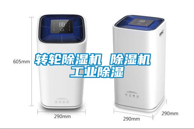 转轮草莓视频APP在线观看 草莓视频APP在线观看 工业除湿