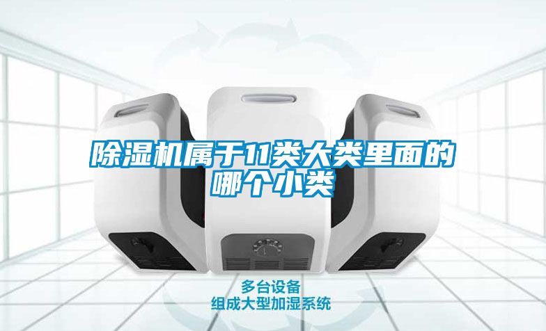 草莓视频APP在线观看属于11类大类里面的哪个小类