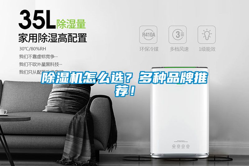 草莓视频APP在线观看怎么选？多种品牌推荐！