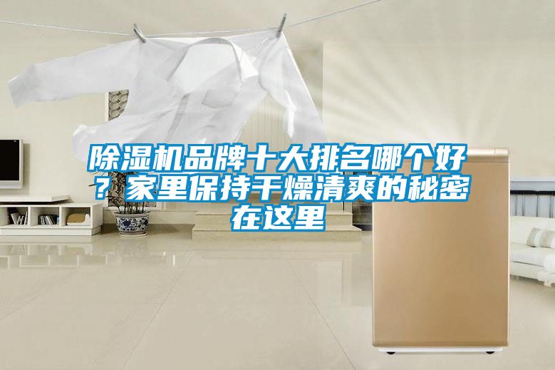 草莓视频APP在线观看品牌十大排名哪个好？家里保持干燥清爽的秘密在这里
