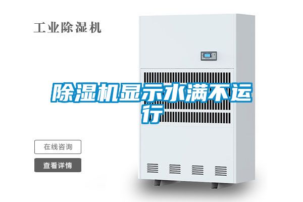 草莓视频APP在线观看显示水满不运行