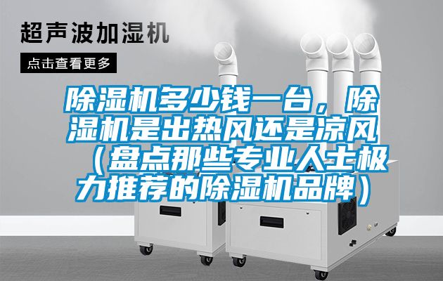 草莓视频APP在线观看多少钱一台，草莓视频APP在线观看是出热风还是凉风（盘点那些专业人士极力推荐的草莓视频APP在线观看品牌）
