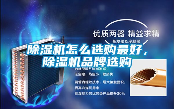 草莓视频APP在线观看怎么选购最好，草莓视频APP在线观看品牌选购