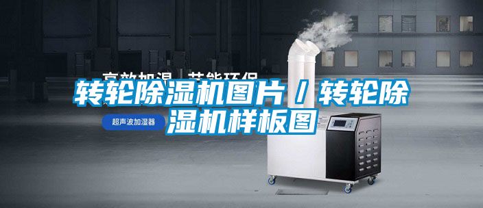 转轮草莓视频APP在线观看图片／转轮草莓视频APP在线观看样板图