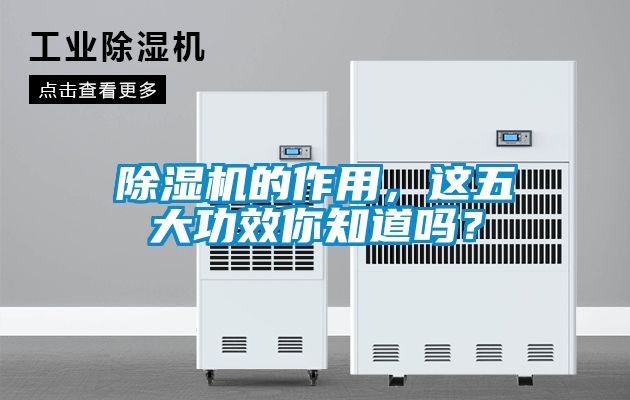 草莓视频APP在线观看的作用，这五大功效你知道吗？