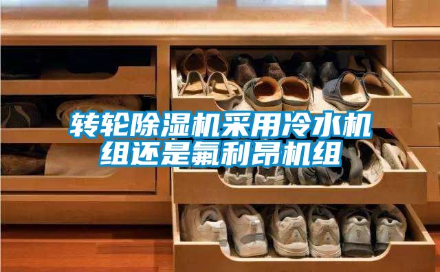 转轮草莓视频APP在线观看采用冷水机组还是氟利昂机组