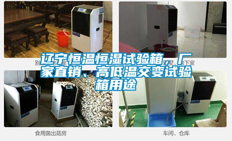 辽宁恒温恒湿试验箱，厂家直销、高低温交变试验箱用途