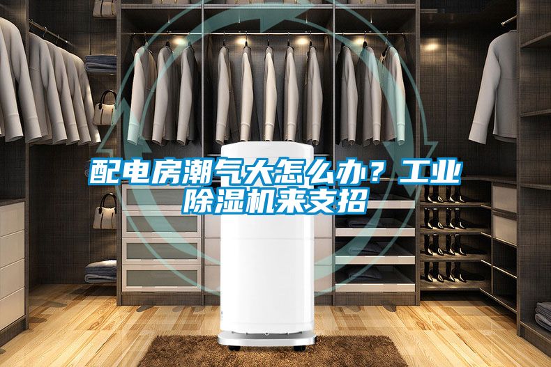 配电房潮气大怎么办？工业草莓视频APP在线观看来支招