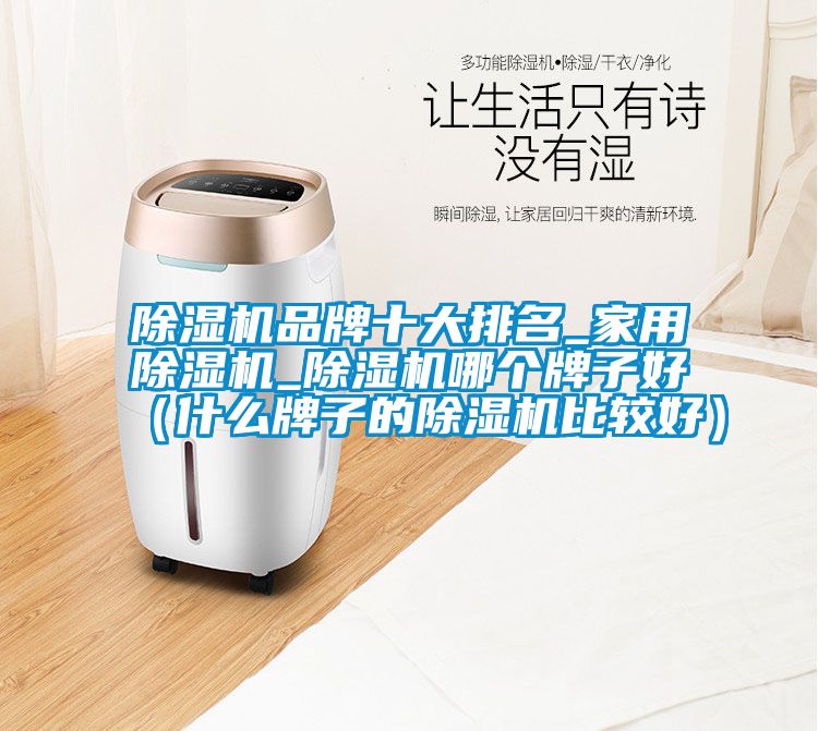草莓视频APP在线观看品牌十大排名_家用草莓视频APP在线观看_草莓视频APP在线观看哪个牌子好（什么牌子的草莓视频APP在线观看比较好）