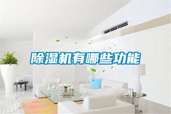草莓视频APP在线观看有哪些功能