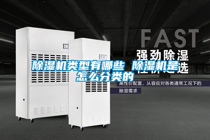 草莓视频APP在线观看类型有哪些 草莓视频APP在线观看是怎么分类的