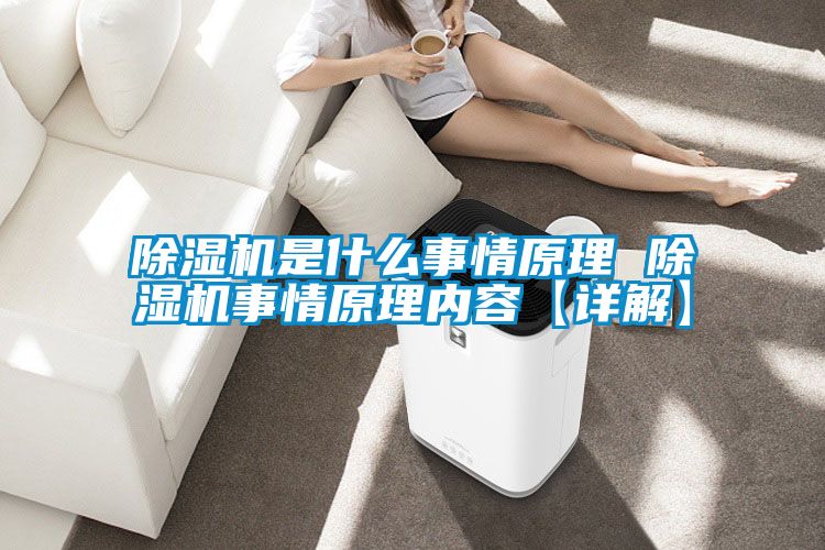 草莓视频APP在线观看是什么事情原理 草莓视频APP在线观看事情原理内容【详解】