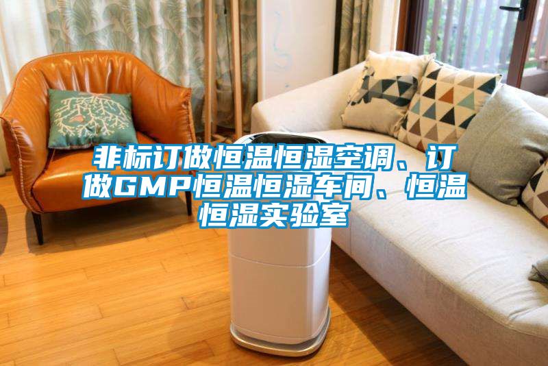 非标订做恒温恒湿空调、订做GMP恒温恒湿车间、恒温恒湿实验室
