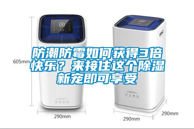 防潮防霉如何获得3倍快乐？来接住这个除湿新宠即可享受