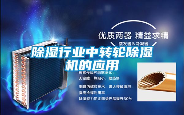 除湿行业中转轮草莓视频APP在线观看的应用
