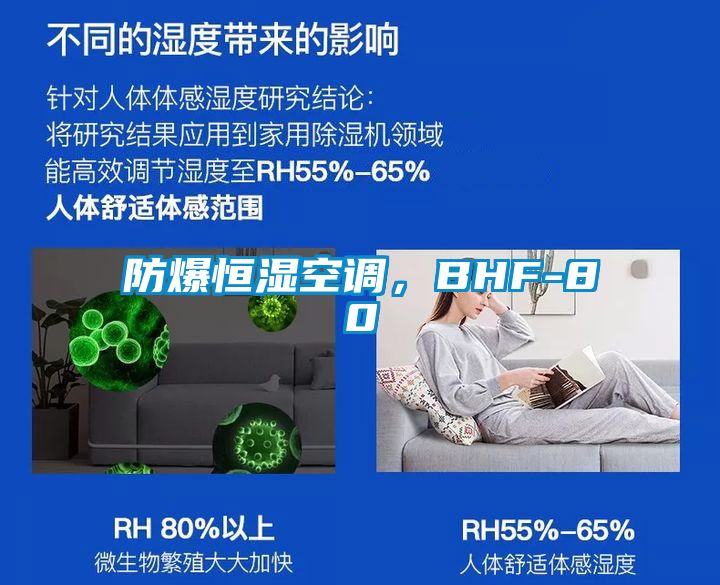 防爆恒湿空调，BHF-80