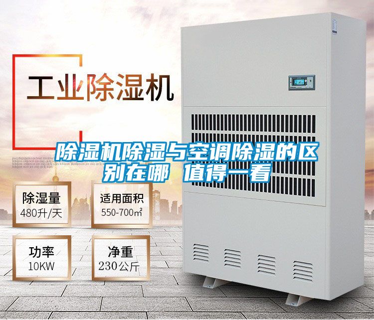 草莓视频APP在线观看除湿与空调除湿的区别在哪 值得一看