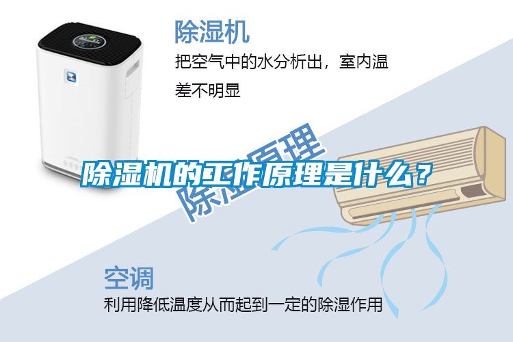 草莓视频APP在线观看的工作原理是什么？
