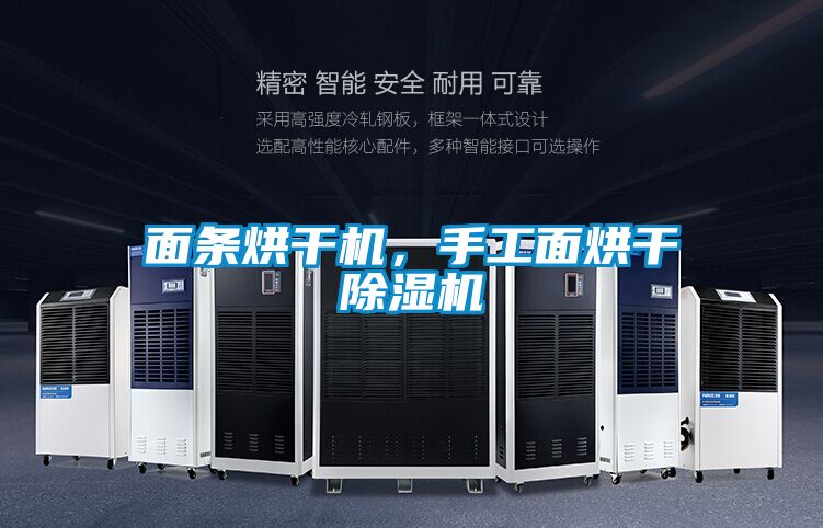 面条烘干机，手工面烘干草莓视频APP在线观看
