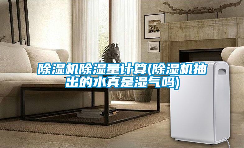 草莓视频APP在线观看除湿量计算(草莓视频APP在线观看抽出的水真是湿气吗)