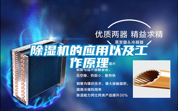 草莓视频APP在线观看的应用以及工作原理