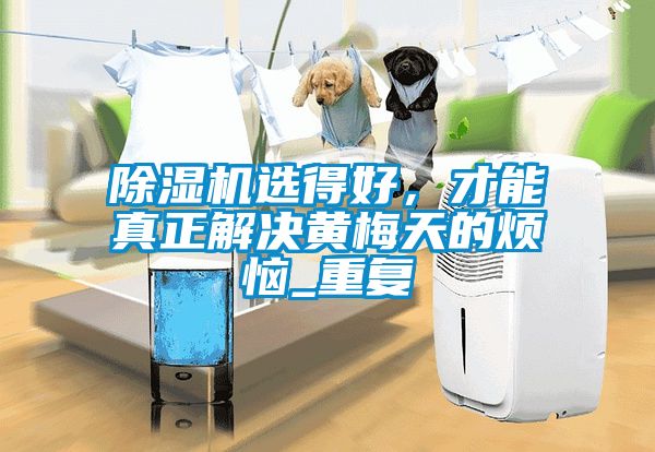 草莓视频APP在线观看选得好，才能真正解决黄梅天的烦恼_重复