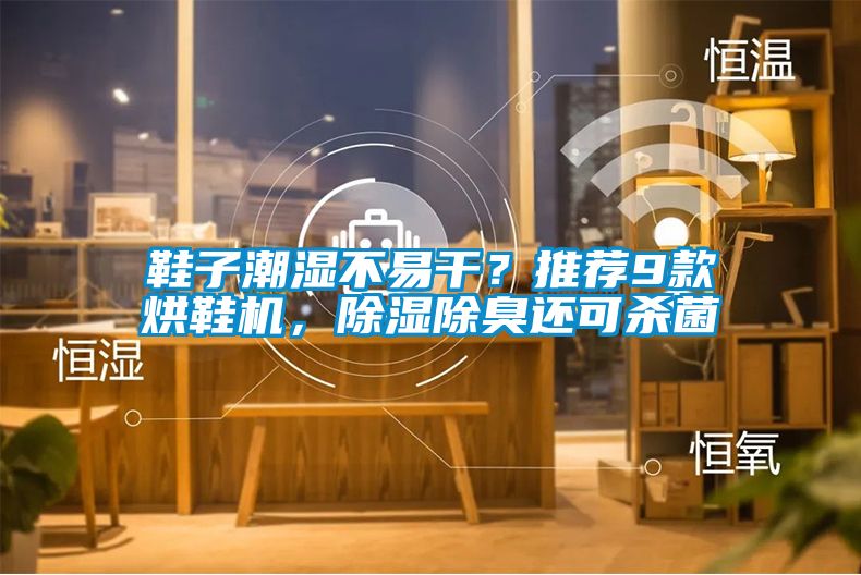 鞋子潮湿不易干？推荐9款烘鞋机，除湿除臭还可杀菌