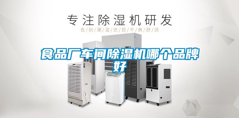 食品厂车间草莓视频APP在线观看哪个品牌好