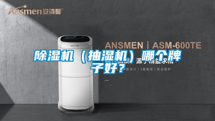 草莓视频APP在线观看（抽湿机）哪个牌子好？