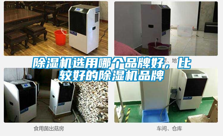 草莓视频APP在线观看选用哪个品牌好，比较好的草莓视频APP在线观看品牌