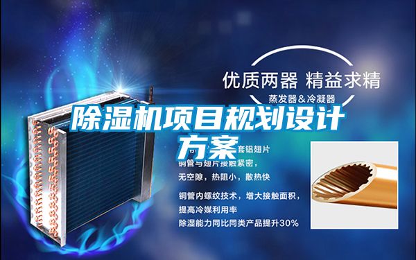 草莓视频APP在线观看项目规划设计方案