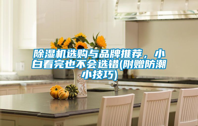草莓视频APP在线观看选购与品牌推荐，小白看完也不会选错(附赠防潮小技巧)