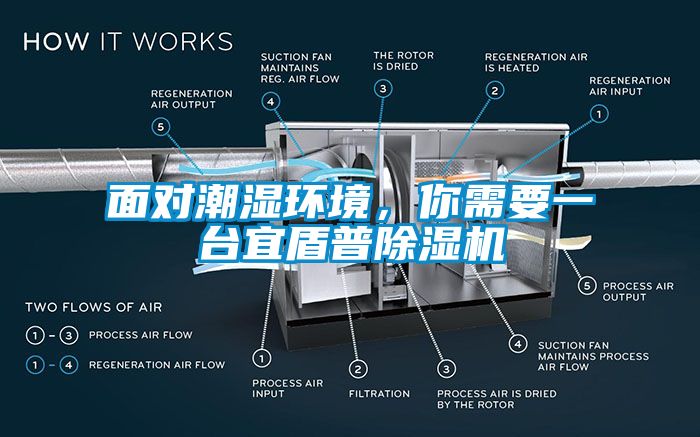 面对潮湿环境，你需要一台宜盾普草莓视频APP在线观看