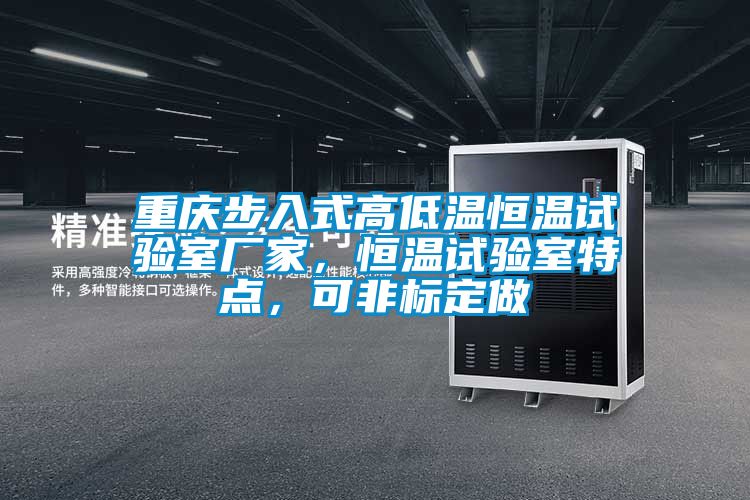 重庆步入式高低温恒温试验室厂家，恒温试验室特点，可非标定做