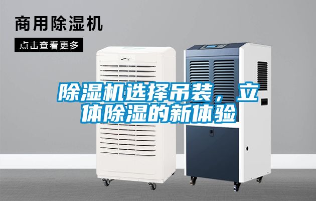 草莓视频APP在线观看选择吊装，立体除湿的新体验