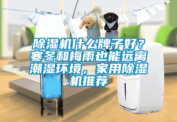 草莓视频APP在线观看什么牌子好？寒冬和梅雨也能远离潮湿环境，家用草莓视频APP在线观看推荐