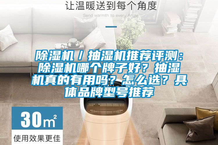 草莓视频APP在线观看／抽湿机推荐评测：草莓视频APP在线观看哪个牌子好？抽湿机真的有用吗？怎么选？具体品牌型号推荐