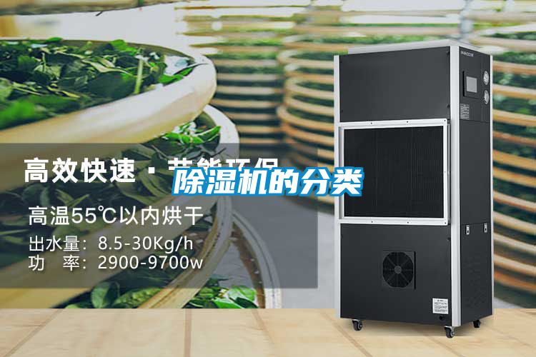 草莓视频APP在线观看的分类