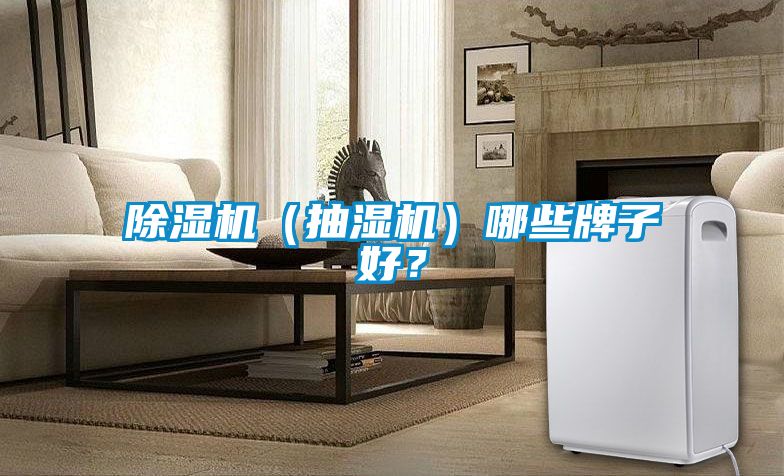 草莓视频APP在线观看（抽湿机）哪些牌子好？