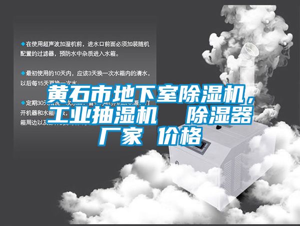 黄石市地下室草莓视频APP在线观看，工业抽湿机  除湿器厂家 价格