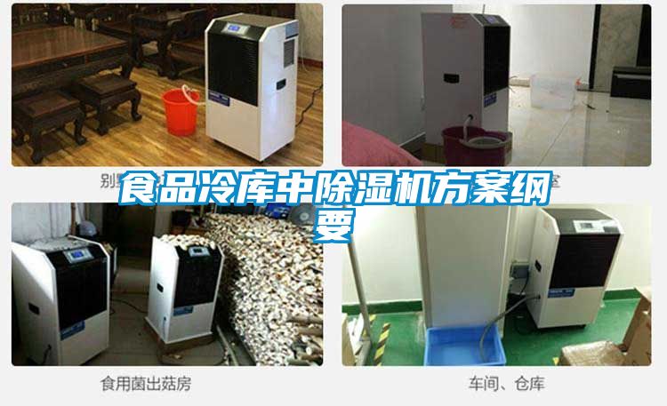 食品冷库中草莓视频APP在线观看方案纲要