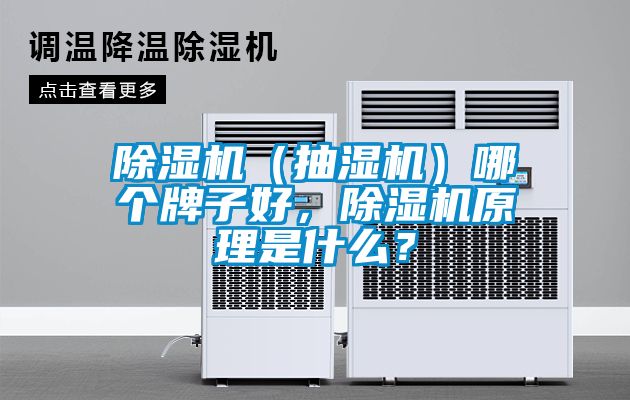 草莓视频APP在线观看（抽湿机）哪个牌子好，草莓视频APP在线观看原理是什么？