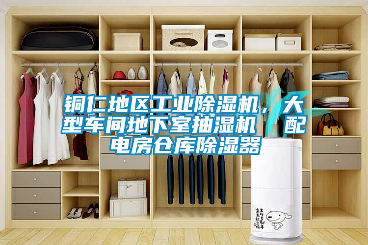 铜仁地区工业草莓视频APP在线观看，大型车间地下室抽湿机  配电房仓库除湿器