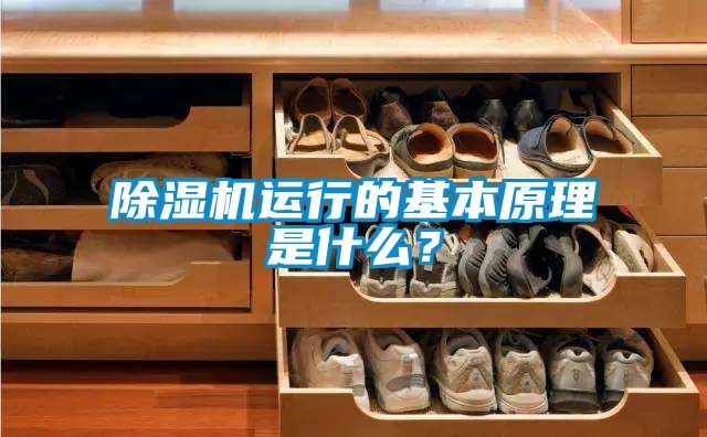草莓视频APP在线观看运行的基本原理是什么？