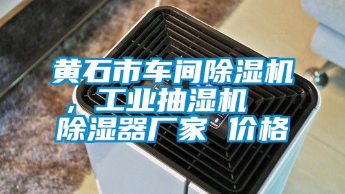 黄石市车间草莓视频APP在线观看，工业抽湿机  除湿器厂家 价格